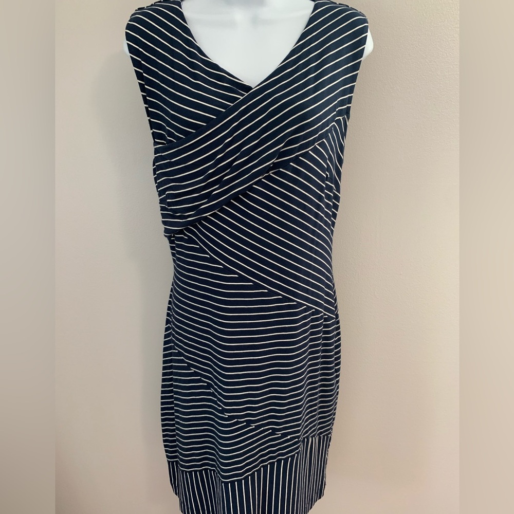 Ann Taylor Dress
